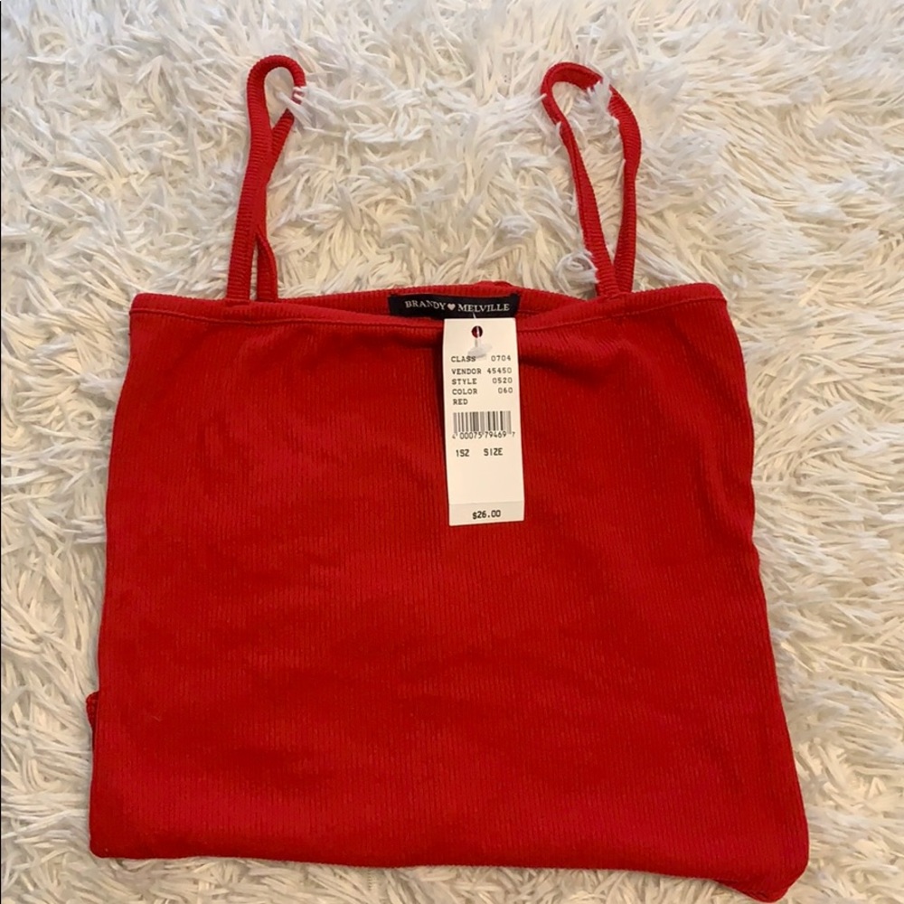 NWT  Brandy Melville Bodysuit
